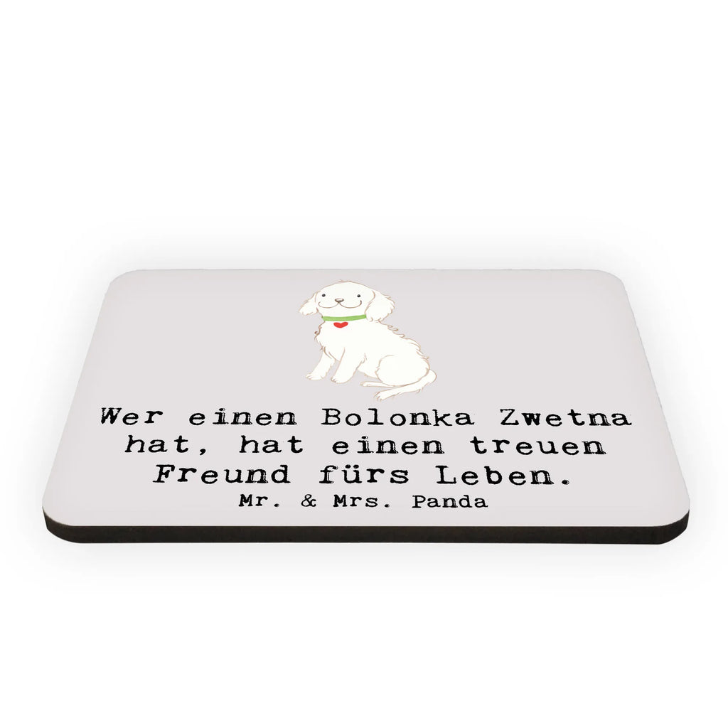 Magnet Bolonka Zwetna Kühlschrank Dekoration, Souvenir Magnet, Dekomagnet, Motivmagnete, Pinnwandmagnet, Whiteboard Magnet, Notiz Magnet, Kühlschrankmagnet, Hund, Hunderasse, Rassehund, Hundebesitzer, Geschenk, Tierfreund, Schenken, Welpe