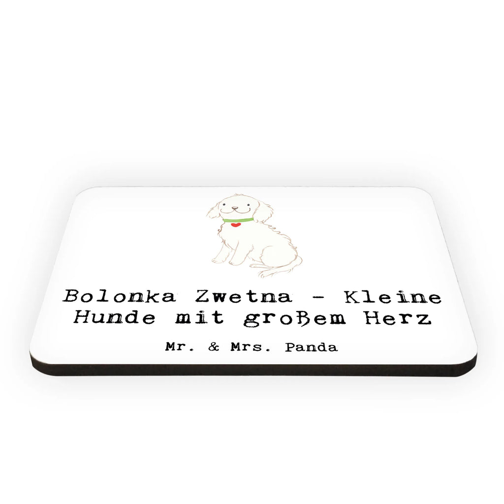 Magnet Bolonka Zwetna - Kleine Hunde mit großem Herz Notiz Magnet, Souvenir Magnet, Motivmagnete, Whiteboard Magnet, Kühlschrankmagnet, Pinnwandmagnet, Kühlschrank Dekoration, Dekomagnet, Hund, Hunderasse, Rassehund, Hundebesitzer, Geschenk, Tierfreund, Schenken, Welpe