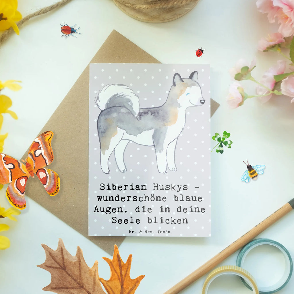 Greetings card Siberian Huskys - wunderschöne blaue Augen, die in deine Seele blicken Hochzeitskarte, Grußkarte, Klappkarte, Ansichtskarten, Geburtstagskarte, Glückwunschkarte, Einladungskarte, Karte, Hund, Hunderasse, Rassehund, Hundebesitzer, Geschenk, Tierfreund, Schenken, Welpe