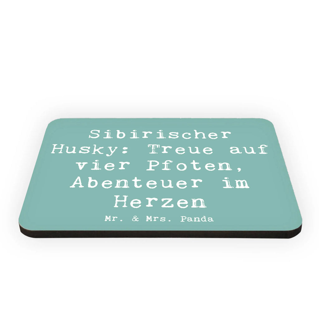 Magnet Spruch Sibirischer Husky Notiz Magnet, Pinnwandmagnet, Whiteboard Magnet, Kühlschrank Dekoration, Dekomagnet, Motivmagnete, Souvenir Magnet, Kühlschrankmagnet, Hund, Hunderasse, Rassehund, Hundebesitzer, Geschenk, Tierfreund, Schenken, Welpe