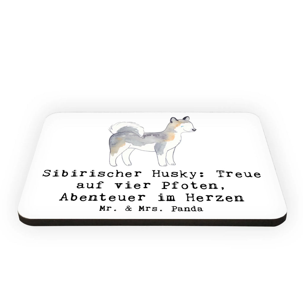 Magnet Sibirischer Husky Kühlschrank Dekoration, Pinnwandmagnet, Whiteboard Magnet, Dekomagnet, Notiz Magnet, Souvenir Magnet, Motivmagnete, Kühlschrankmagnet, Hund, Hunderasse, Rassehund, Hundebesitzer, Geschenk, Tierfreund, Schenken, Welpe