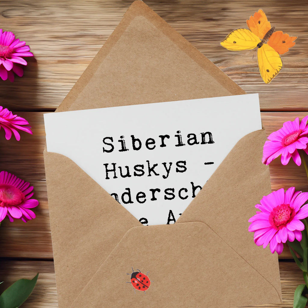 Deluxe Card Saying Siberian Huskys - wunderschöne blaue Augen, die in deine Seele blicken Grußkarte, Hochwertige Klappkarte, Geburtstagskarte, Hochzeitskarte, Hochwertige Grußkarte, Einladungskarte, Karte, Klappkarte, Glückwunschkarte, Hund, Hunderasse, Rassehund, Hundebesitzer, Geschenk, Tierfreund, Schenken, Welpe