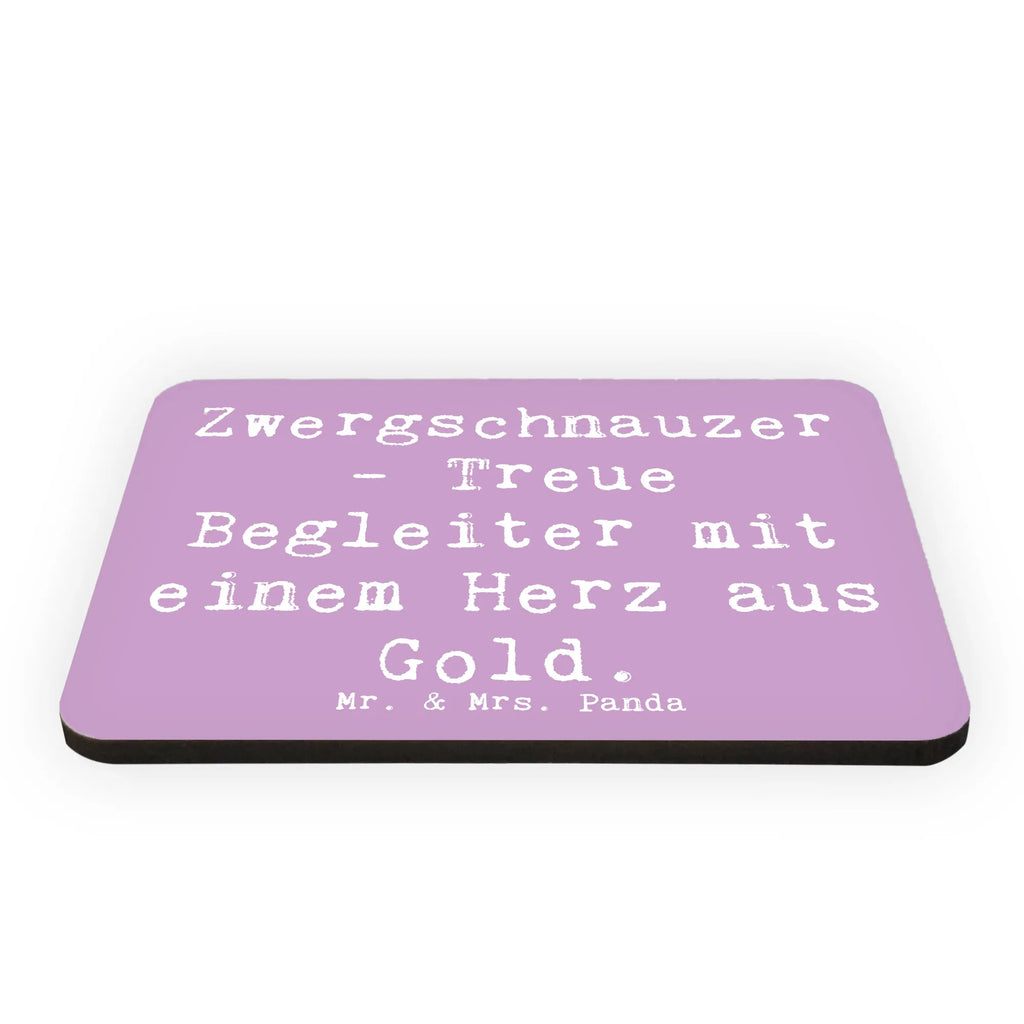 Magnet Saying Zwergschnauzer - Treue Begleiter mit einem Herz aus Gold. Motivmagnete, Notiz Magnet, Kühlschrank Dekoration, Souvenir Magnet, Whiteboard Magnet, Dekomagnet, Pinnwandmagnet, Kühlschrankmagnet, Hund, Hunderasse, Rassehund, Hundebesitzer, Geschenk, Tierfreund, Schenken, Welpe