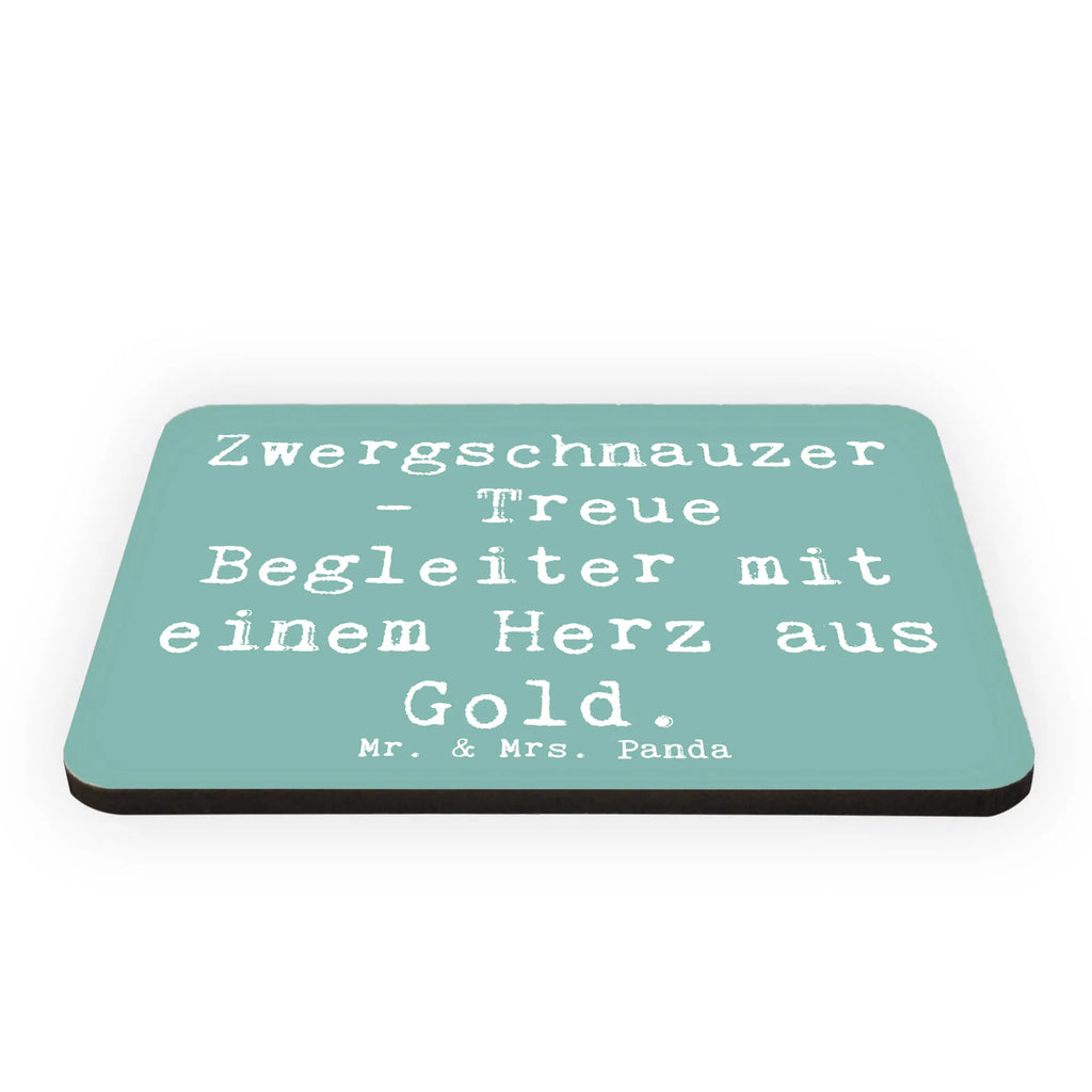 Magnet Saying Zwergschnauzer - Treue Begleiter mit einem Herz aus Gold. Motivmagnete, Notiz Magnet, Kühlschrank Dekoration, Souvenir Magnet, Whiteboard Magnet, Dekomagnet, Pinnwandmagnet, Kühlschrankmagnet, Hund, Hunderasse, Rassehund, Hundebesitzer, Geschenk, Tierfreund, Schenken, Welpe