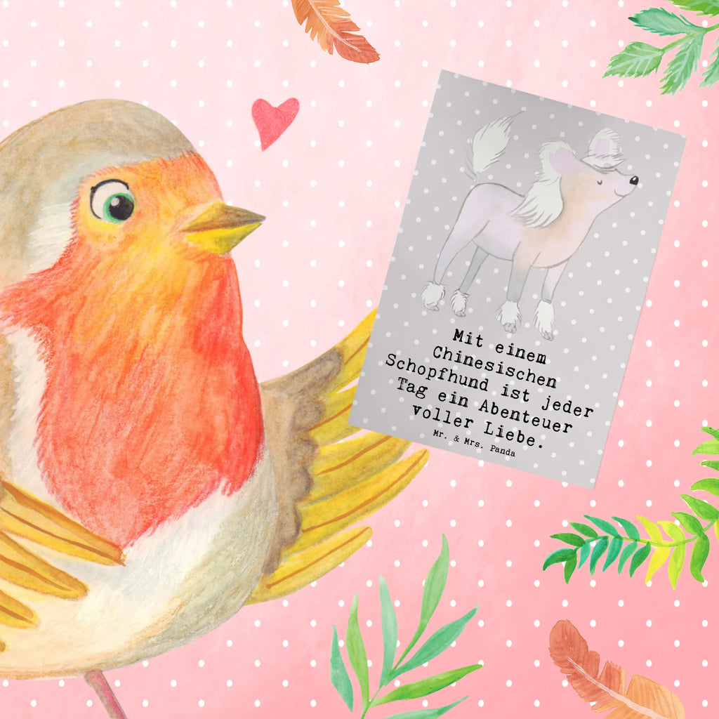 Greetings card Mit einem Chinesischen Schopfhund ist jeder Tag ein Abenteuer voller Liebe. Karte, Grußkarte, Glückwunschkarte, Geburtstagskarte, Einladungskarte, Ansichtskarten, Hochzeitskarte, Klappkarte, Hund, Hunderasse, Rassehund, Hundebesitzer, Geschenk, Tierfreund, Schenken, Welpe