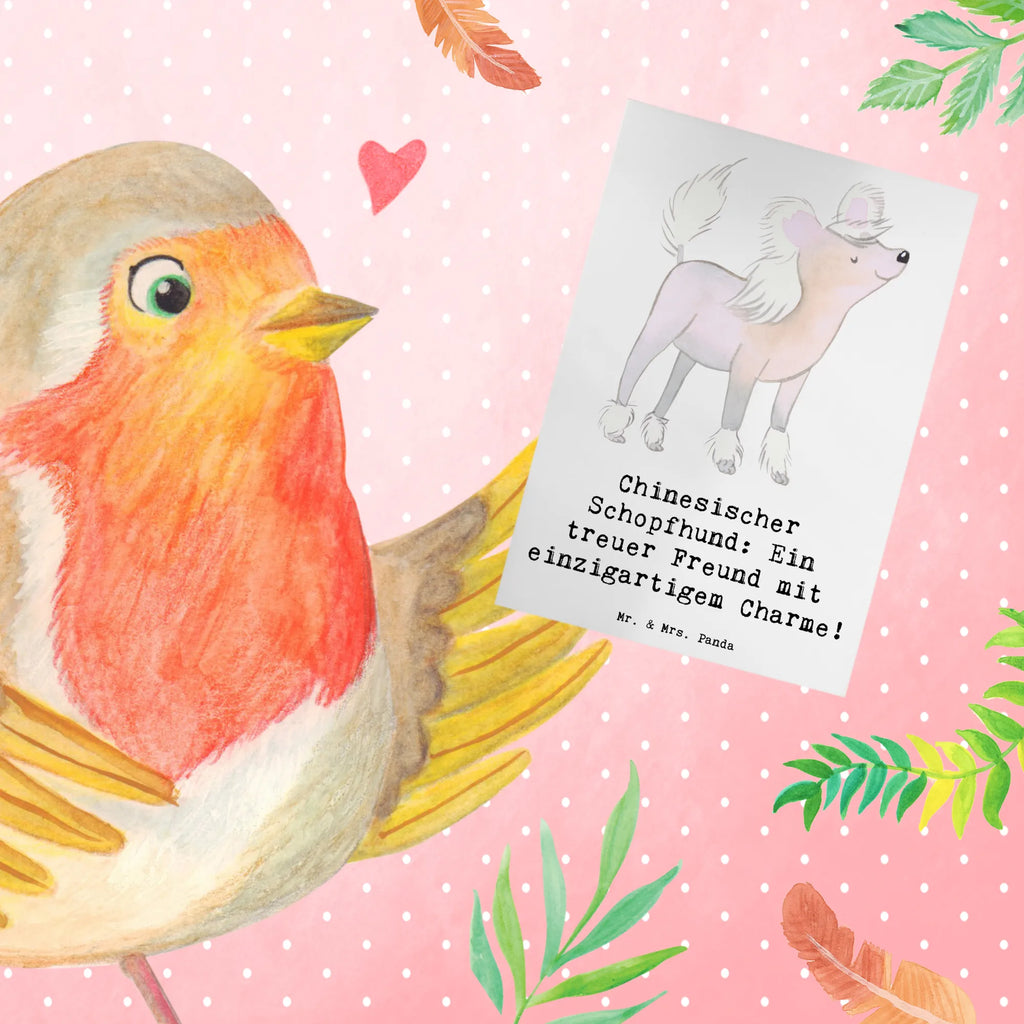 Grußkarte Chinesischer Schopfhund Charme Karte, Glückwunschkarte, Einladungskarte, Ansichtskarten, Geburtstagskarte, Hochzeitskarte, Grußkarte, Klappkarte, Hund, Hunderasse, Rassehund, Hundebesitzer, Geschenk, Tierfreund, Schenken, Welpe