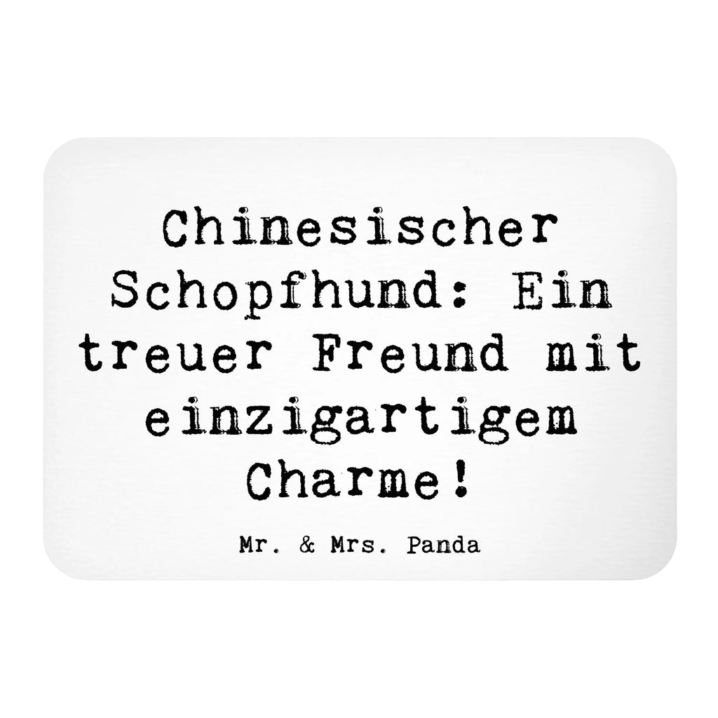 Magnet Spruch Chinesischer Schopfhund Charme Whiteboard Magnet, Souvenir Magnet, Motivmagnete, Pinnwandmagnet, Kühlschrank Dekoration, Kühlschrankmagnet, Dekomagnet, Notiz Magnet, Hund, Hunderasse, Rassehund, Hundebesitzer, Geschenk, Tierfreund, Schenken, Welpe