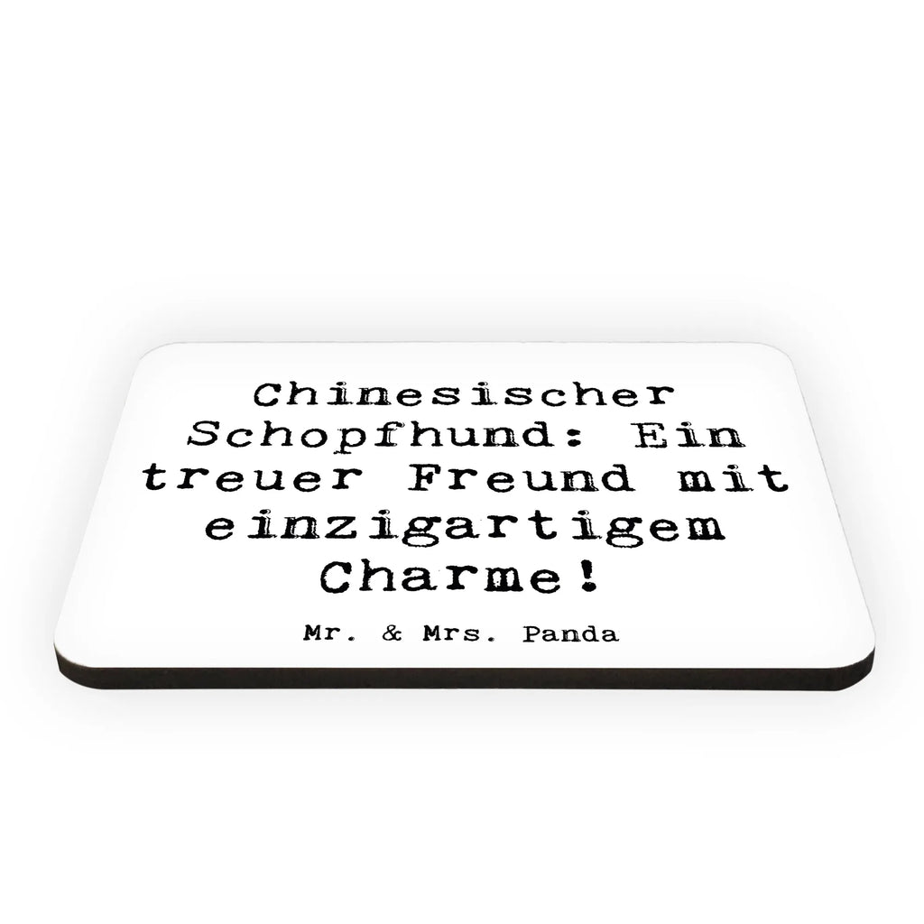 Magnet Spruch Chinesischer Schopfhund Charme Whiteboard Magnet, Souvenir Magnet, Motivmagnete, Pinnwandmagnet, Kühlschrank Dekoration, Kühlschrankmagnet, Dekomagnet, Notiz Magnet, Hund, Hunderasse, Rassehund, Hundebesitzer, Geschenk, Tierfreund, Schenken, Welpe