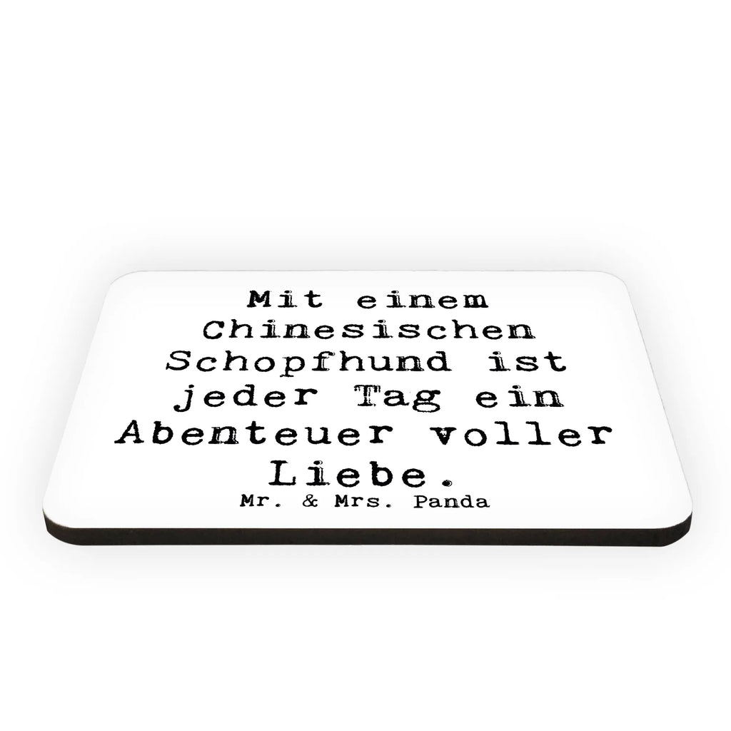 Magnet Saying Mit einem Chinesischen Schopfhund ist jeder Tag ein Abenteuer voller Liebe. Kühlschrankmagnet, Notiz Magnet, Whiteboard Magnet, Dekomagnet, Pinnwandmagnet, Motivmagnete, Souvenir Magnet, Kühlschrank Dekoration, Hund, Hunderasse, Rassehund, Hundebesitzer, Geschenk, Tierfreund, Schenken, Welpe