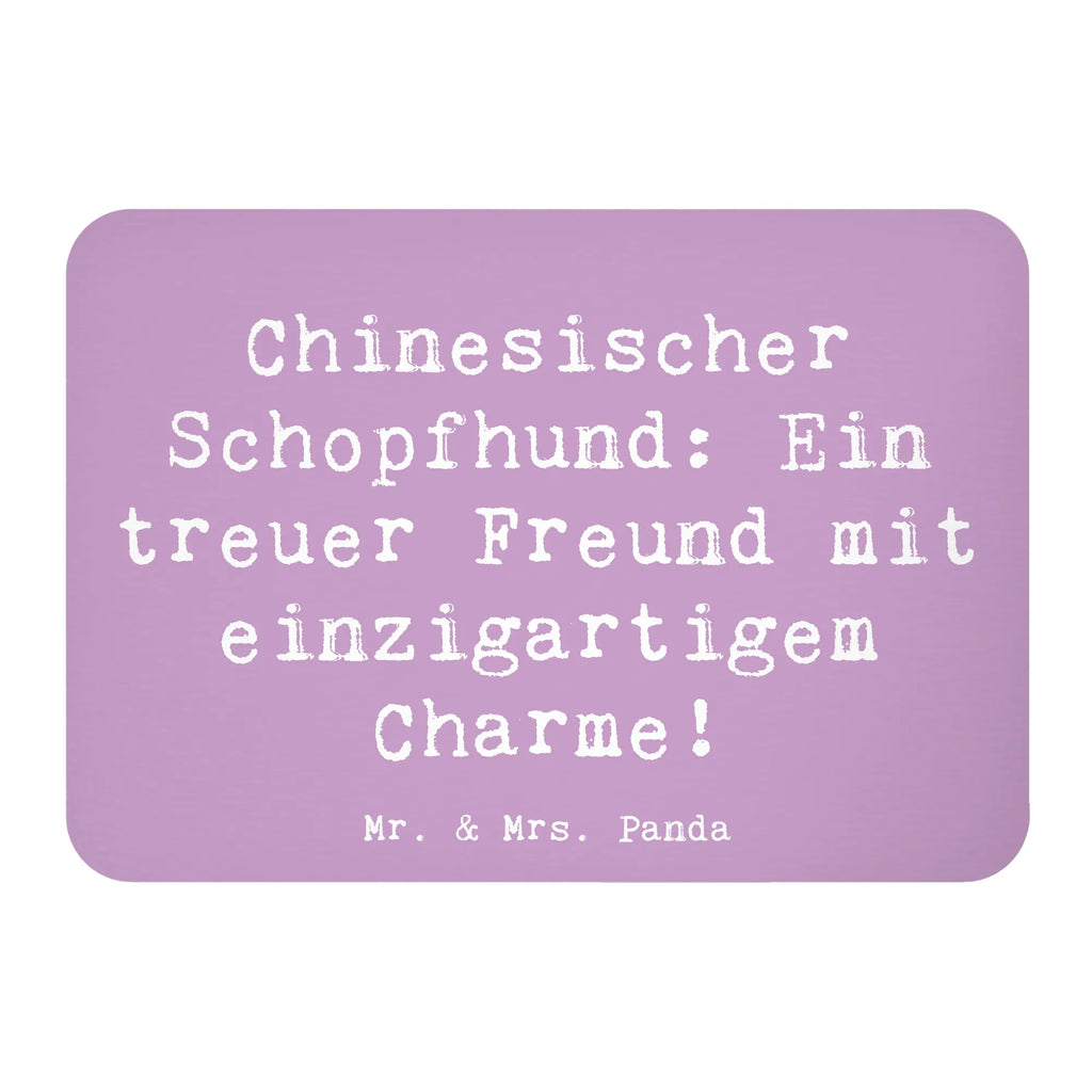 Magnet Spruch Chinesischer Schopfhund Charme Whiteboard Magnet, Souvenir Magnet, Motivmagnete, Pinnwandmagnet, Kühlschrank Dekoration, Kühlschrankmagnet, Dekomagnet, Notiz Magnet, Hund, Hunderasse, Rassehund, Hundebesitzer, Geschenk, Tierfreund, Schenken, Welpe