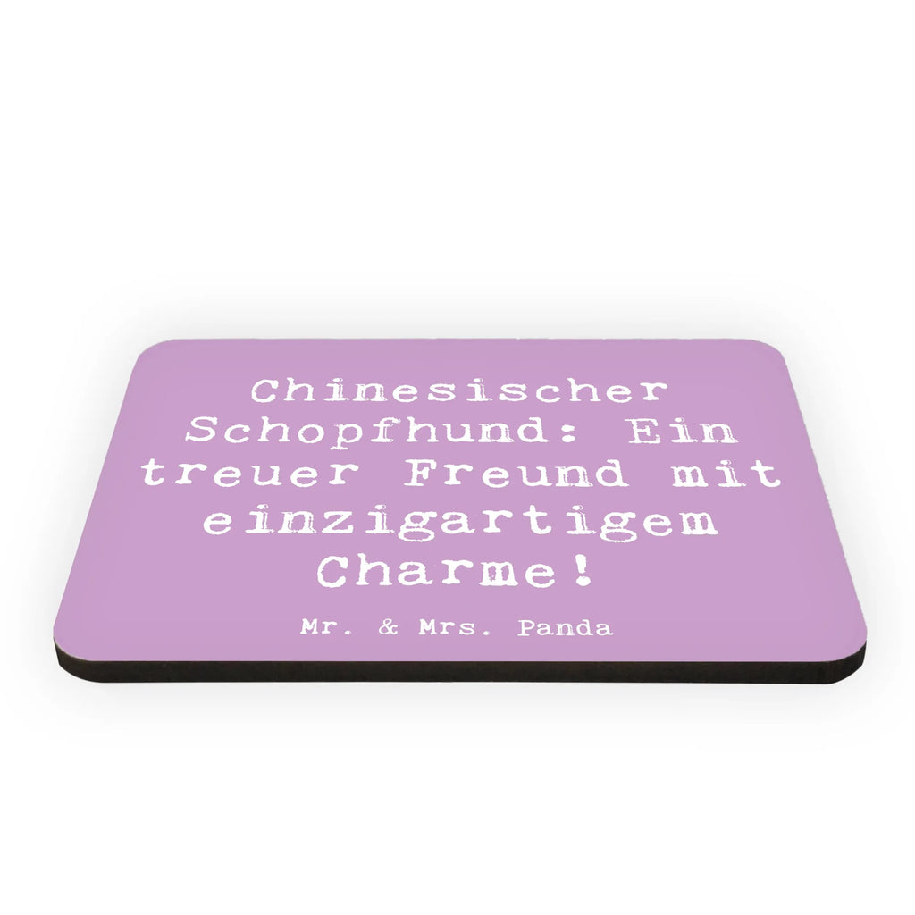 Magnet Spruch Chinesischer Schopfhund Charme Whiteboard Magnet, Souvenir Magnet, Motivmagnete, Pinnwandmagnet, Kühlschrank Dekoration, Kühlschrankmagnet, Dekomagnet, Notiz Magnet, Hund, Hunderasse, Rassehund, Hundebesitzer, Geschenk, Tierfreund, Schenken, Welpe