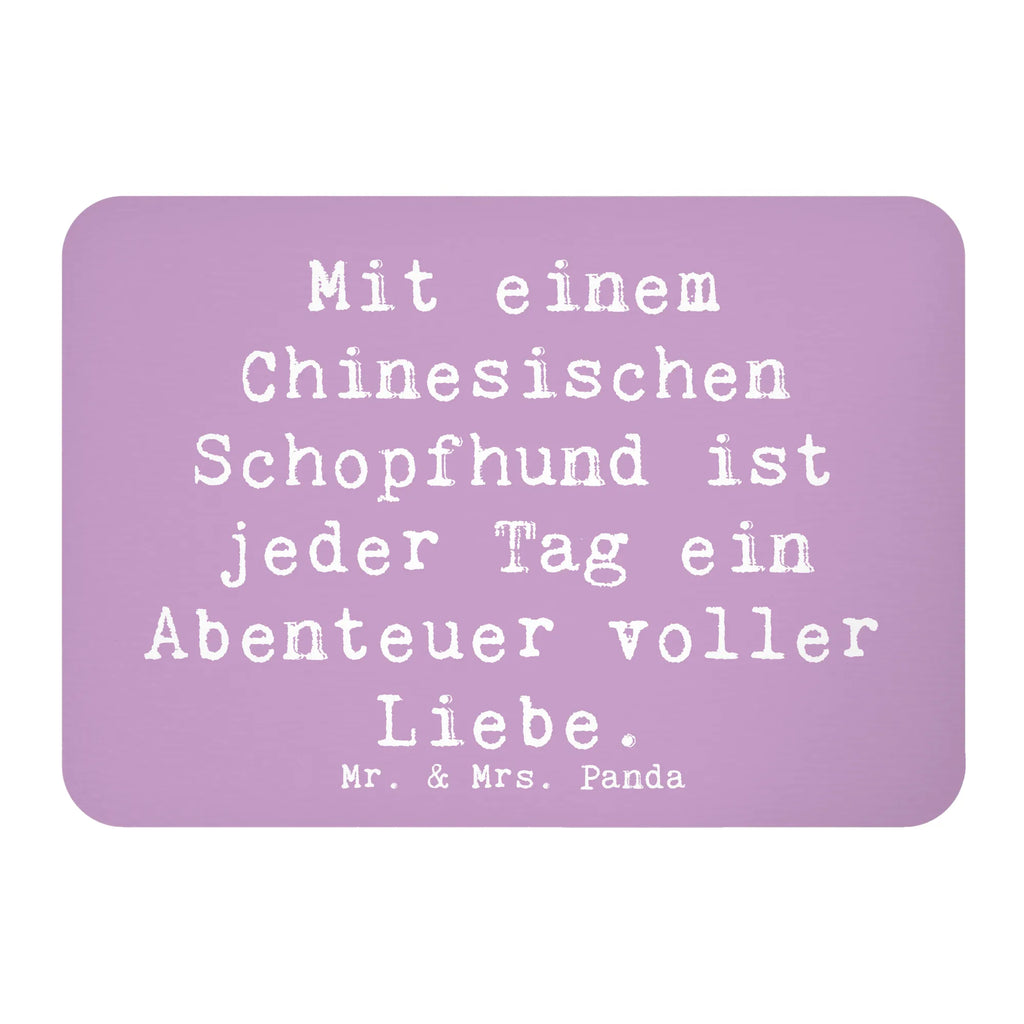 Magnet Saying Mit einem Chinesischen Schopfhund ist jeder Tag ein Abenteuer voller Liebe. Kühlschrankmagnet, Notiz Magnet, Whiteboard Magnet, Dekomagnet, Pinnwandmagnet, Motivmagnete, Souvenir Magnet, Kühlschrank Dekoration, Hund, Hunderasse, Rassehund, Hundebesitzer, Geschenk, Tierfreund, Schenken, Welpe