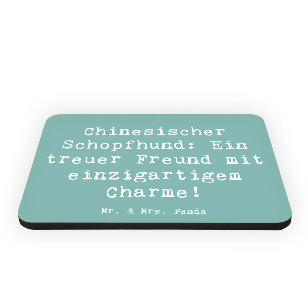Magnet Spruch Chinesischer Schopfhund Charme Whiteboard Magnet, Souvenir Magnet, Motivmagnete, Pinnwandmagnet, Kühlschrank Dekoration, Kühlschrankmagnet, Dekomagnet, Notiz Magnet, Hund, Hunderasse, Rassehund, Hundebesitzer, Geschenk, Tierfreund, Schenken, Welpe