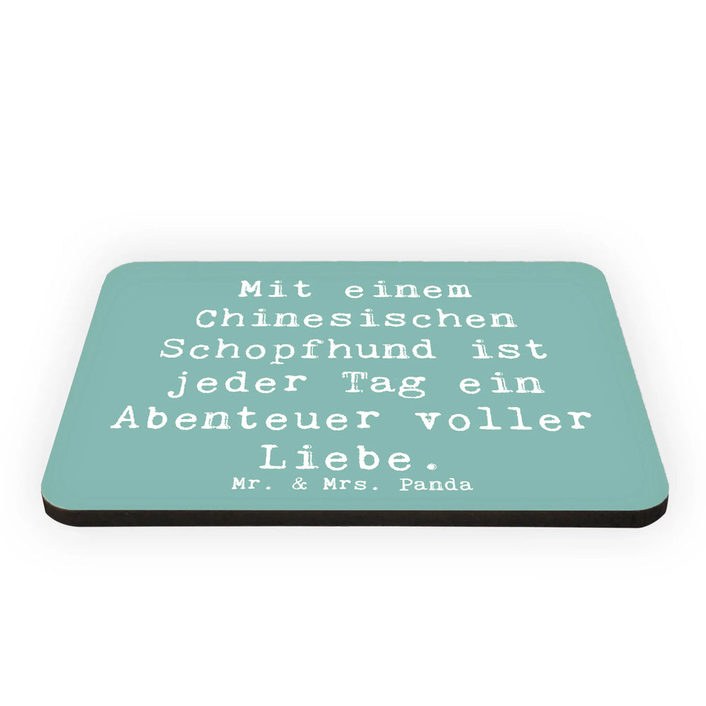 Magnet Saying Mit einem Chinesischen Schopfhund ist jeder Tag ein Abenteuer voller Liebe. Kühlschrankmagnet, Notiz Magnet, Whiteboard Magnet, Dekomagnet, Pinnwandmagnet, Motivmagnete, Souvenir Magnet, Kühlschrank Dekoration, Hund, Hunderasse, Rassehund, Hundebesitzer, Geschenk, Tierfreund, Schenken, Welpe