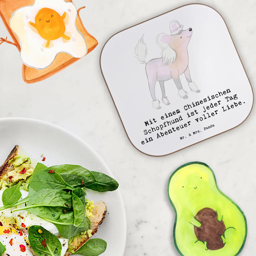 Untersetzer Chinesischer Schopfhund Abenteuer Korkuntersetzer, Untersetzer für Gläser, Untersetzer, Untersetzer Gläser, Bierdeckel, Glasuntersetzer, Getränkeuntersetzer, Tassen Untersetzer, Untersetzer aus Holz, Untersetzer Holz, Holzuntersetzer, Untersetzer Design, Hund, Hunderasse, Rassehund, Hundebesitzer, Geschenk, Tierfreund, Schenken, Welpe