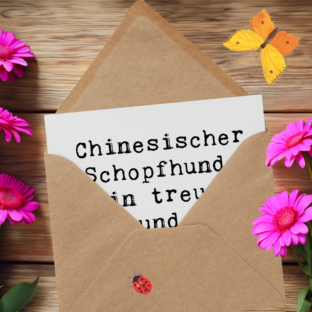 Deluxe Card Saying Chinesischer Schopfhund: Ein treuer Freund mit einzigartigem Charme! Hochwertige Grußkarte, Karte, Klappkarte, Hochwertige Klappkarte, Geburtstagskarte, Glückwunschkarte, Einladungskarte, Hochzeitskarte, Grußkarte, Hund, Hunderasse, Rassehund, Hundebesitzer, Geschenk, Tierfreund, Schenken, Welpe