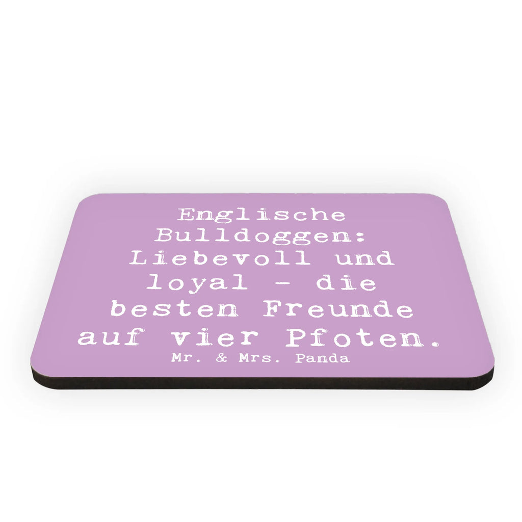 Magnet Spruch Englische Bulldogge Freunde Kühlschrank Dekoration, Whiteboard Magnet, Kühlschrankmagnet, Pinnwandmagnet, Notiz Magnet, Souvenir Magnet, Dekomagnet, Motivmagnete, Hund, Hunderasse, Rassehund, Hundebesitzer, Geschenk, Tierfreund, Schenken, Welpe