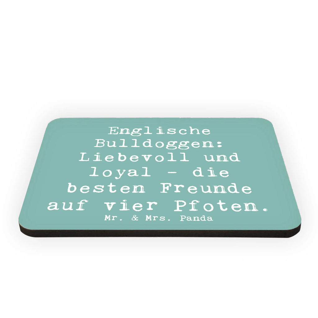 Magnet Spruch Englische Bulldogge Freunde Kühlschrank Dekoration, Whiteboard Magnet, Kühlschrankmagnet, Pinnwandmagnet, Notiz Magnet, Souvenir Magnet, Dekomagnet, Motivmagnete, Hund, Hunderasse, Rassehund, Hundebesitzer, Geschenk, Tierfreund, Schenken, Welpe