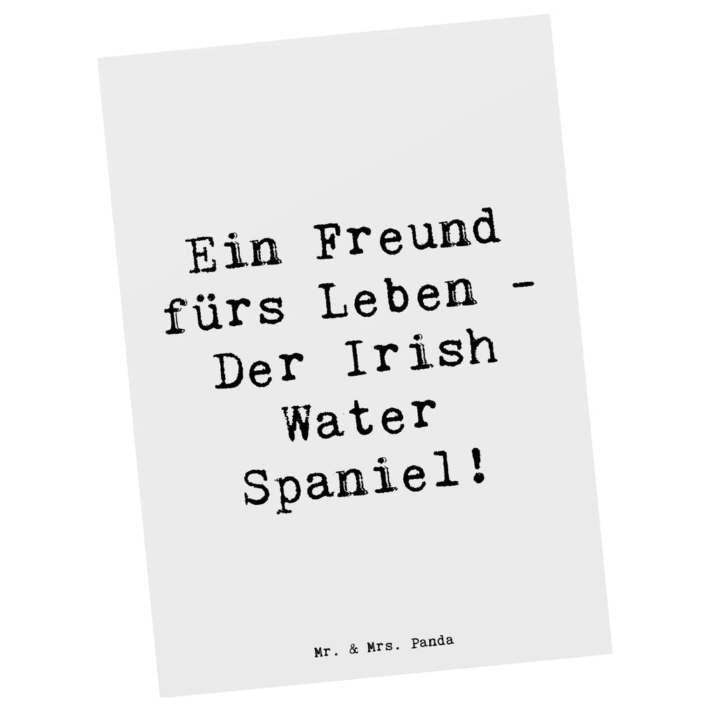 Postkarte Spruch Irish Water Spaniel Freund Grußkarte, Geburtstagskarte, Einladung Geburtstag, Einladungskarte, Karte, Ansichtskarten, Geschenkkarte, Einladung, Ansichtskarte, Dankeskarte, Postkarte, Einladungskarten Geburtstag, Hund, Hunderasse, Rassehund, Hundebesitzer, Geschenk, Tierfreund, Schenken, Welpe