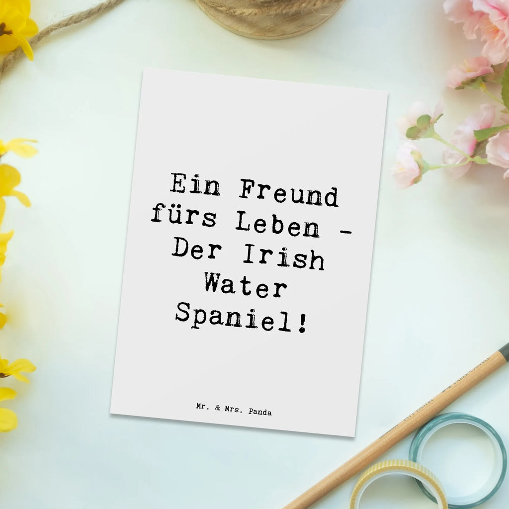 Postkarte Spruch Irish Water Spaniel Freund Grußkarte, Geburtstagskarte, Einladung Geburtstag, Einladungskarte, Karte, Ansichtskarten, Geschenkkarte, Einladung, Ansichtskarte, Dankeskarte, Postkarte, Einladungskarten Geburtstag, Hund, Hunderasse, Rassehund, Hundebesitzer, Geschenk, Tierfreund, Schenken, Welpe