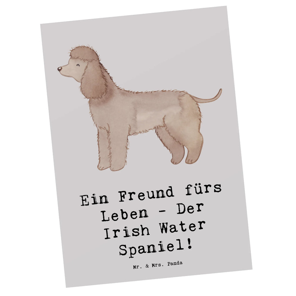 Postkarte Irish Water Spaniel Freund Ansichtskarten, Einladungskarten Geburtstag, Ansichtskarte, Karte, Einladung, Postkarte, Geburtstagskarte, Einladung Geburtstag, Einladungskarte, Geschenkkarte, Dankeskarte, Grußkarte, Hund, Hunderasse, Rassehund, Hundebesitzer, Geschenk, Tierfreund, Schenken, Welpe