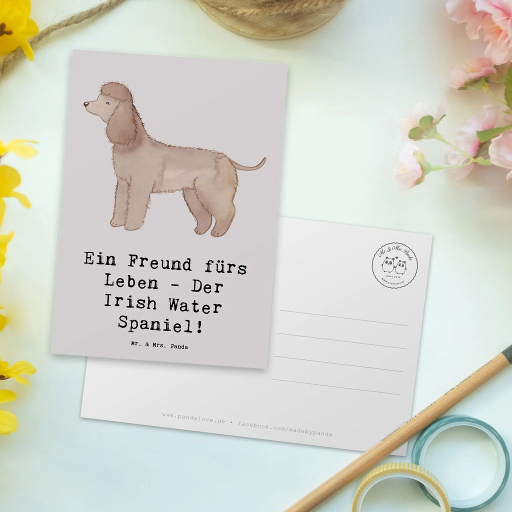 Postkarte Irish Water Spaniel Freund Ansichtskarten, Einladungskarten Geburtstag, Ansichtskarte, Karte, Einladung, Postkarte, Geburtstagskarte, Einladung Geburtstag, Einladungskarte, Geschenkkarte, Dankeskarte, Grußkarte, Hund, Hunderasse, Rassehund, Hundebesitzer, Geschenk, Tierfreund, Schenken, Welpe