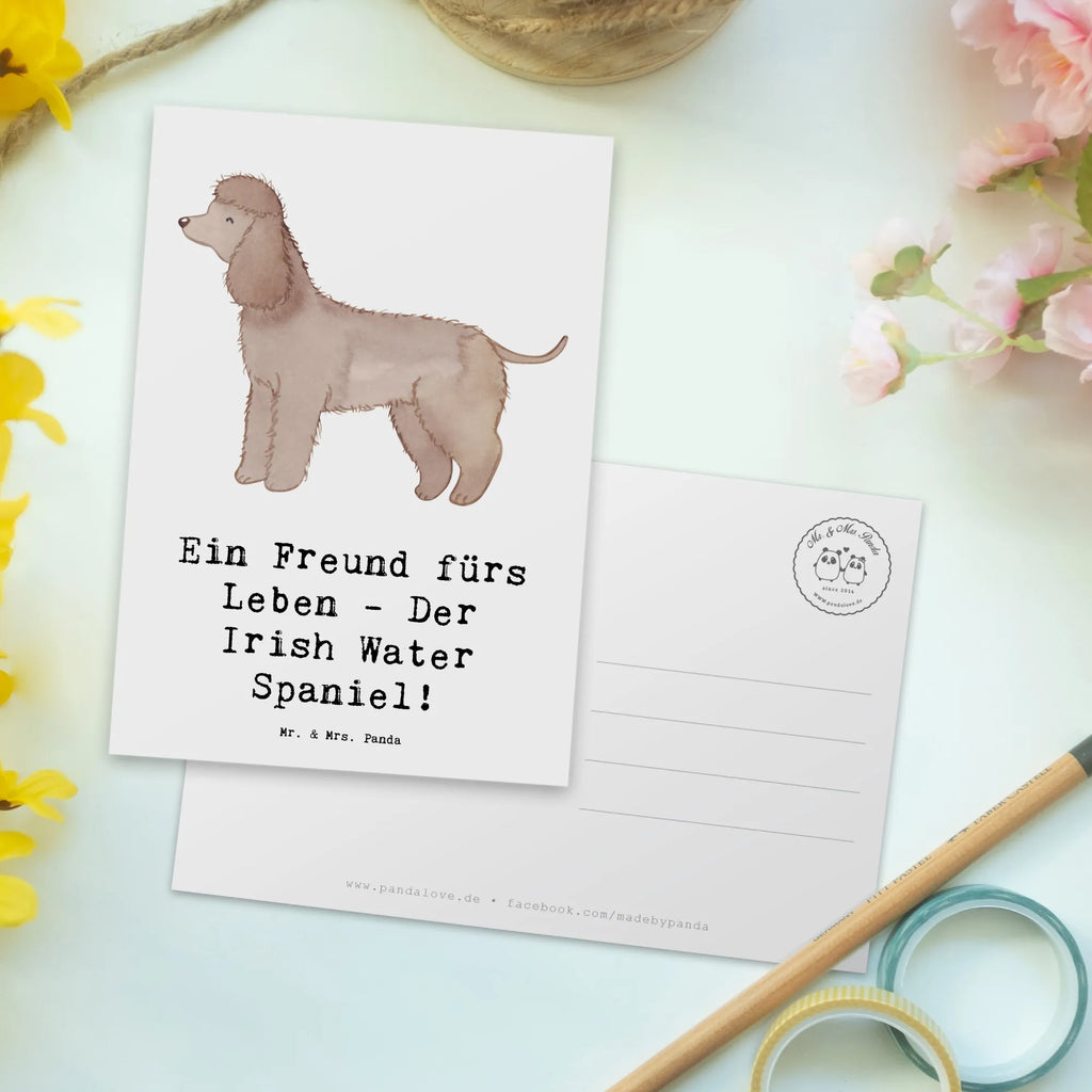 Postkarte Irish Water Spaniel Freund Ansichtskarten, Einladungskarten Geburtstag, Ansichtskarte, Karte, Einladung, Postkarte, Geburtstagskarte, Einladung Geburtstag, Einladungskarte, Geschenkkarte, Dankeskarte, Grußkarte, Hund, Hunderasse, Rassehund, Hundebesitzer, Geschenk, Tierfreund, Schenken, Welpe