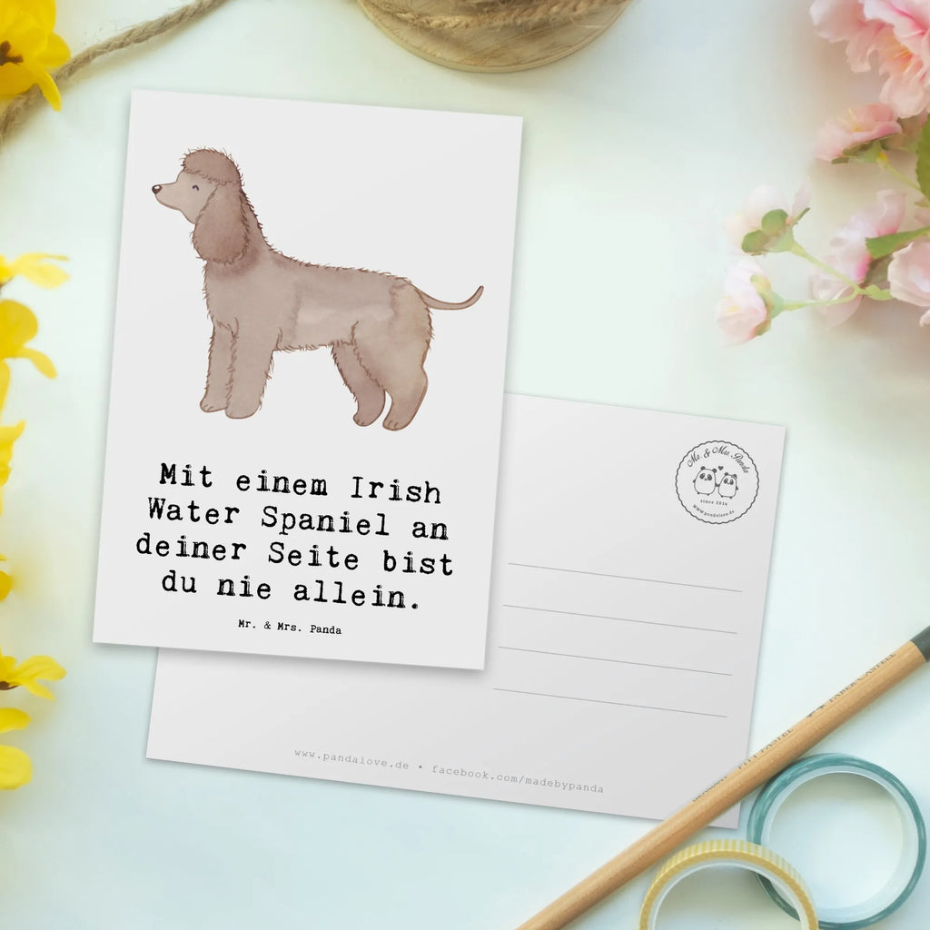 Postkarte Irish Water Spaniel Begleiter Ansichtskarten, Postkarte, Einladungskarte, Einladungskarten Geburtstag, Einladung Geburtstag, Dankeskarte, Karte, Einladung, Geschenkkarte, Ansichtskarte, Geburtstagskarte, Grußkarte, Hund, Hunderasse, Rassehund, Hundebesitzer, Geschenk, Tierfreund, Schenken, Welpe