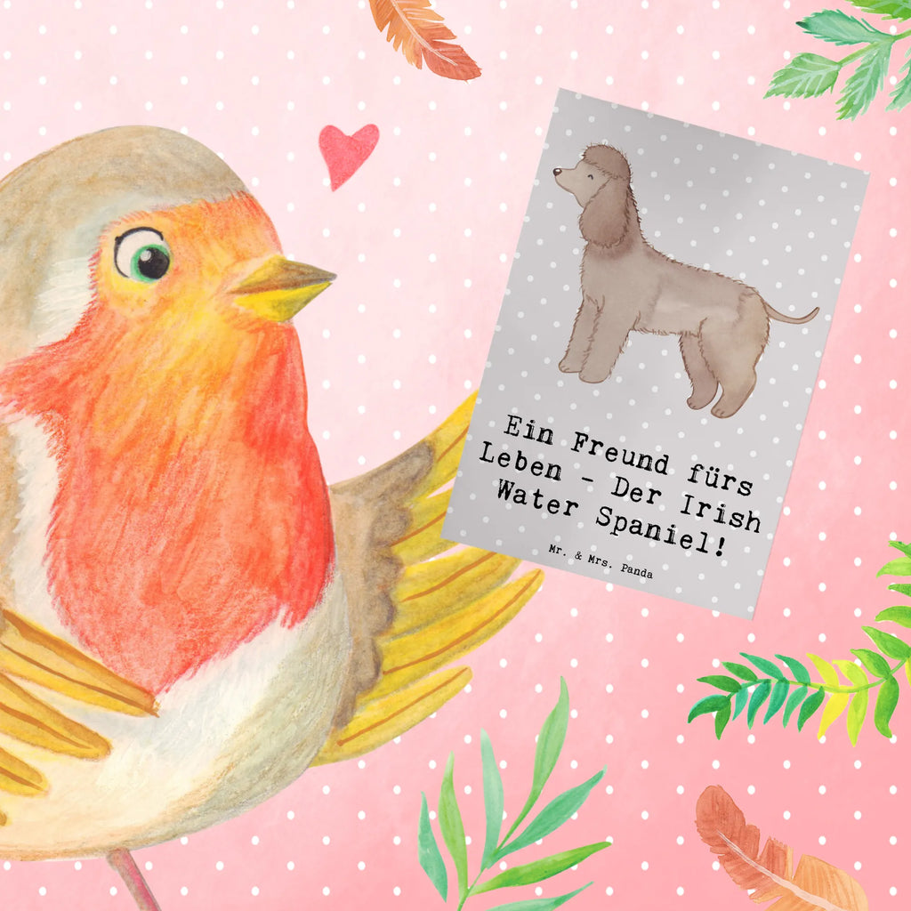 Greetings card Ein Freund fürs Leben - Der Irish Water Spaniel! Geburtstagskarte, Einladungskarte, Glückwunschkarte, Karte, Klappkarte, Hochzeitskarte, Ansichtskarten, Grußkarte, Hund, Hunderasse, Rassehund, Hundebesitzer, Geschenk, Tierfreund, Schenken, Welpe