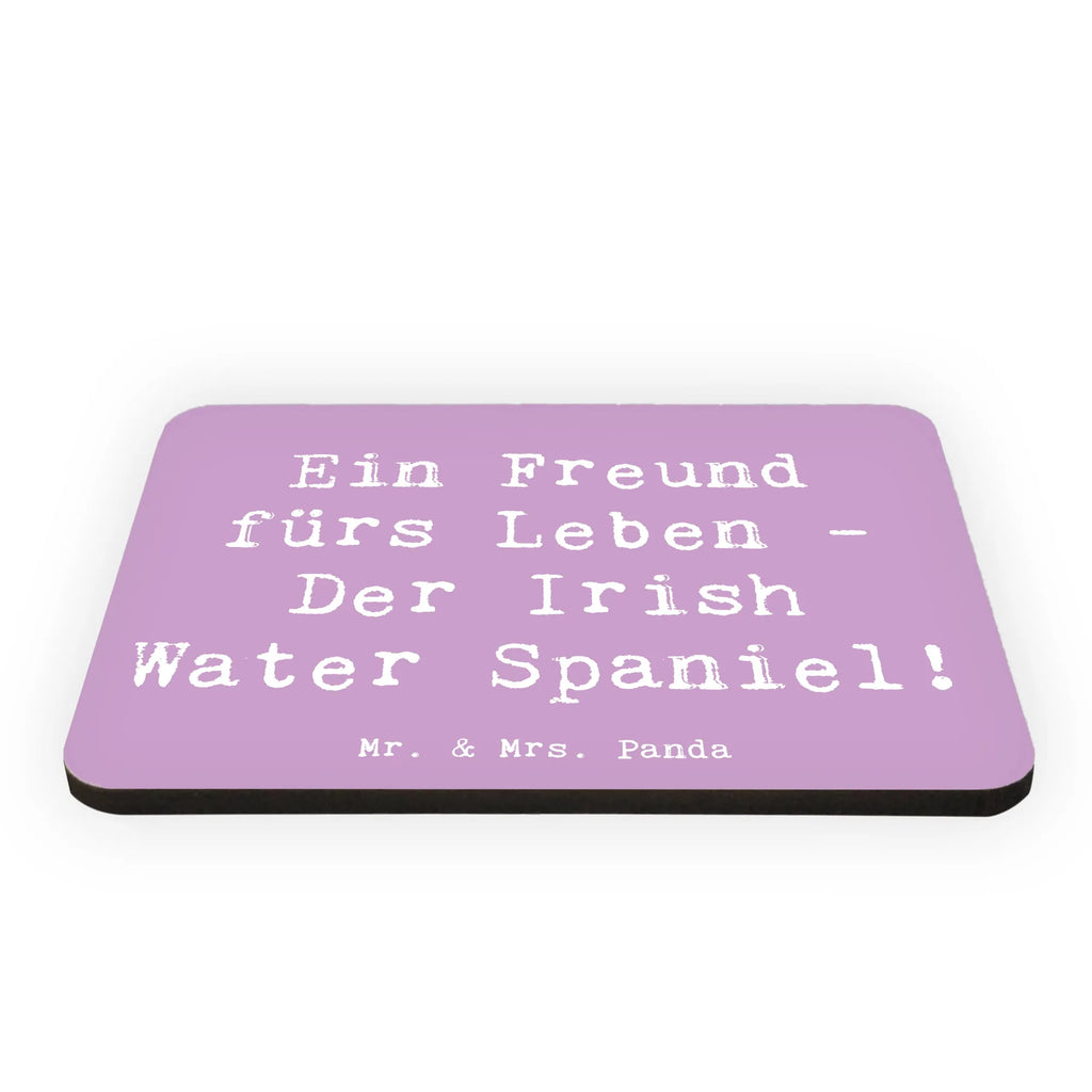 Magnet Spruch Irish Water Spaniel Freund Dekomagnet, Motivmagnete, Souvenir Magnet, Kühlschrankmagnet, Pinnwandmagnet, Kühlschrank Dekoration, Whiteboard Magnet, Notiz Magnet, Hund, Hunderasse, Rassehund, Hundebesitzer, Geschenk, Tierfreund, Schenken, Welpe