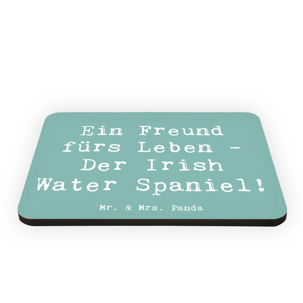 Magnet Spruch Irish Water Spaniel Freund Dekomagnet, Motivmagnete, Souvenir Magnet, Kühlschrankmagnet, Pinnwandmagnet, Kühlschrank Dekoration, Whiteboard Magnet, Notiz Magnet, Hund, Hunderasse, Rassehund, Hundebesitzer, Geschenk, Tierfreund, Schenken, Welpe