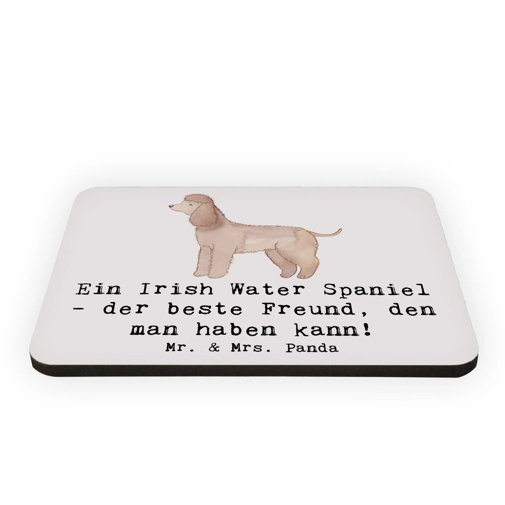Magnet Irish Water Spaniel Freund Dekomagnet, Souvenir Magnet, Kühlschrankmagnet, Pinnwandmagnet, Kühlschrank Dekoration, Notiz Magnet, Whiteboard Magnet, Motivmagnete, Hund, Hunderasse, Rassehund, Hundebesitzer, Geschenk, Tierfreund, Schenken, Welpe
