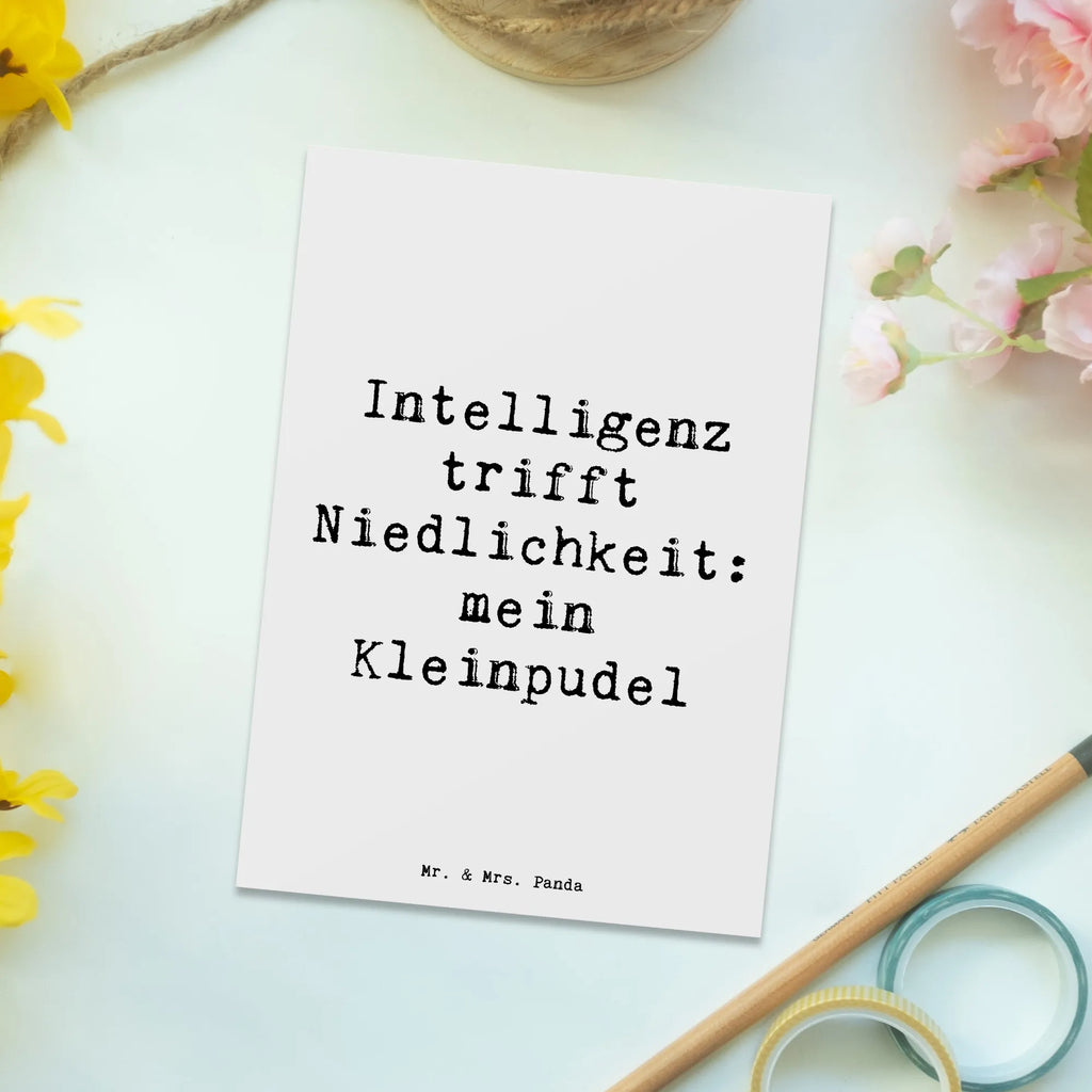 Postkarte Spruch Niedlicher Kleinpudel Einladung, Geschenkkarte, Dankeskarte, Karte, Ansichtskarte, Grußkarte, Einladungskarten Geburtstag, Postkarte, Einladungskarte, Ansichtskarten, Einladung Geburtstag, Geburtstagskarte, Hund, Hunderasse, Rassehund, Hundebesitzer, Geschenk, Tierfreund, Schenken, Welpe