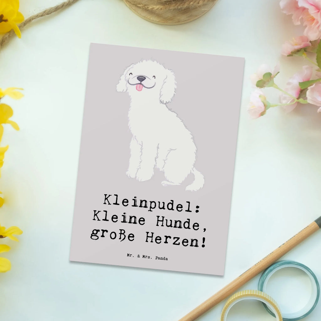 Postkarte Kleinpudel Liebe Karte, Einladungskarten Geburtstag, Ansichtskarte, Postkarte, Einladung, Geschenkkarte, Dankeskarte, Geburtstagskarte, Grußkarte, Einladungskarte, Ansichtskarten, Einladung Geburtstag, Hund, Hunderasse, Rassehund, Hundebesitzer, Geschenk, Tierfreund, Schenken, Welpe