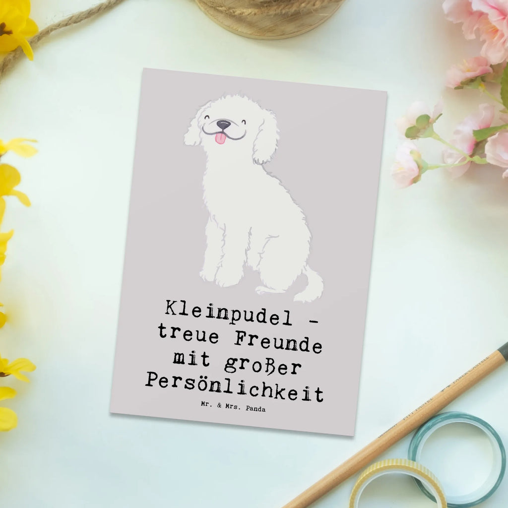 Postkarte Kleinpudel Freunde Ansichtskarten, Karte, Einladungskarten Geburtstag, Geschenkkarte, Einladungskarte, Einladung, Dankeskarte, Einladung Geburtstag, Geburtstagskarte, Postkarte, Ansichtskarte, Grußkarte, Hund, Hunderasse, Rassehund, Hundebesitzer, Geschenk, Tierfreund, Schenken, Welpe