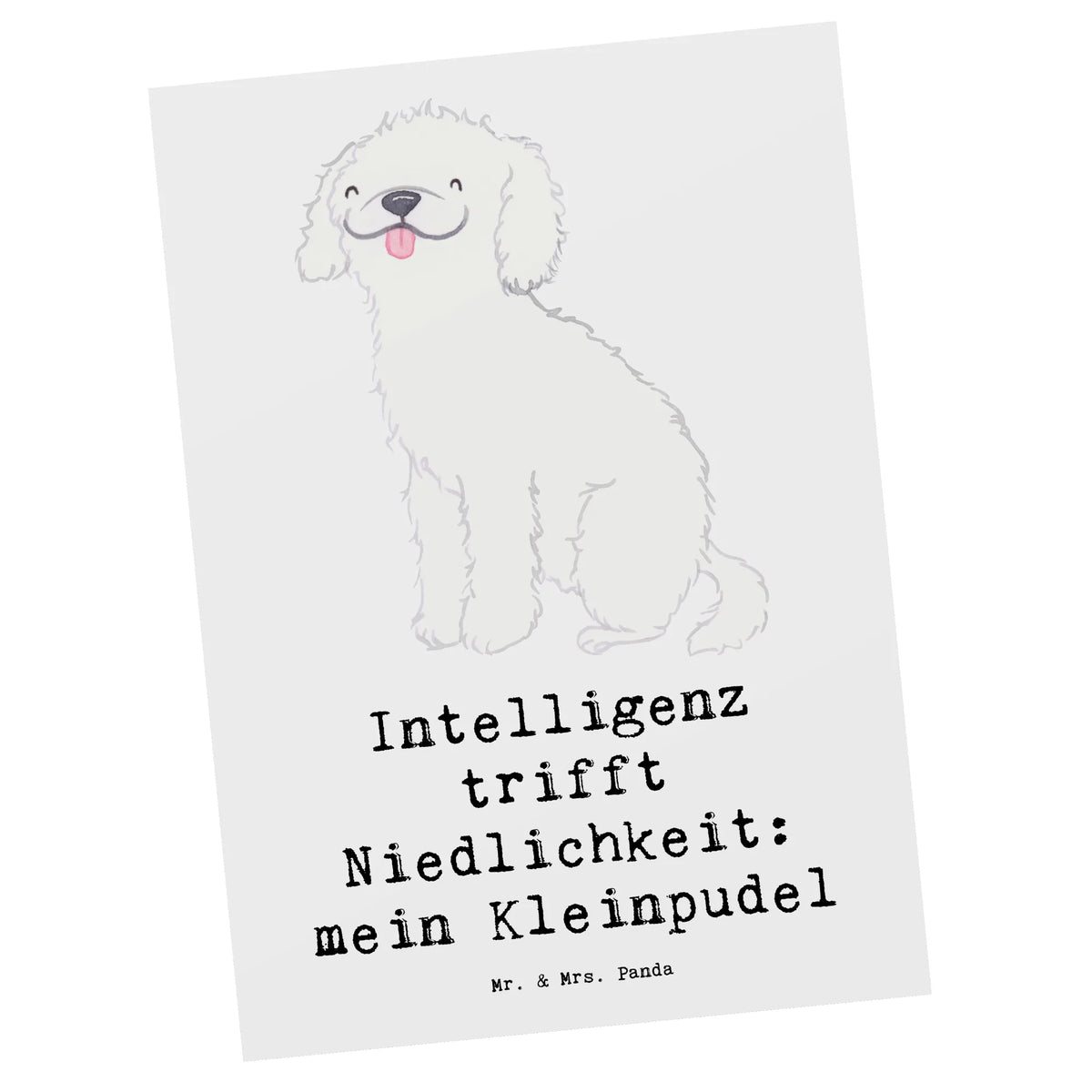 Postkarte Niedlicher Kleinpudel Motivkarte, Grußkarte, einzelkarte, Fotokarte, bildkarte, Postkarte, kunstkarte, Kunstkarten, Postkarten, Designkarte, Ansichtskarten, Ansichtskarte, spruchkarte, Geschenk, Schenken, Hund, Hunderasse, Rassehund, Hundebesitzer, Tierfreund, Welpe