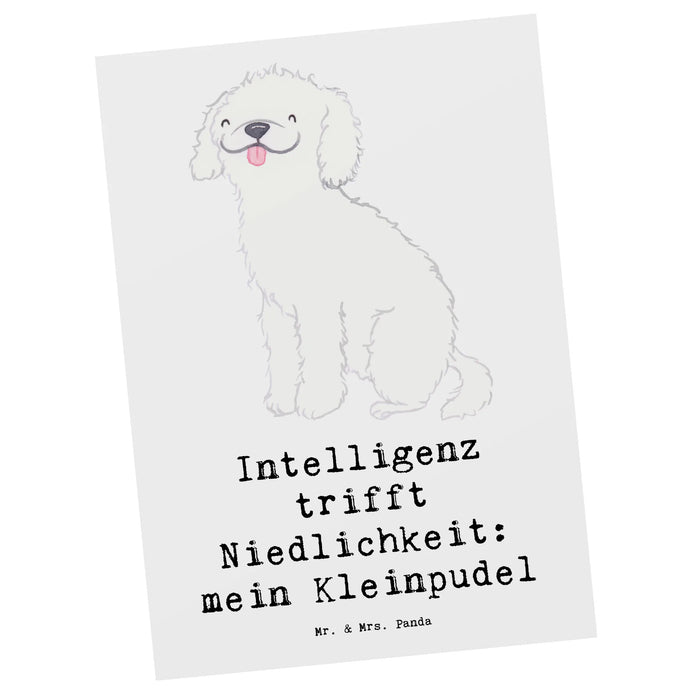 Postkarte Niedlicher Kleinpudel