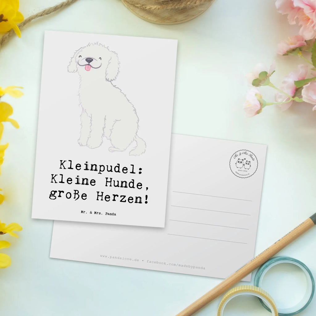 Postkarte Kleinpudel Liebe Karte, Einladungskarten Geburtstag, Ansichtskarte, Postkarte, Einladung, Geschenkkarte, Dankeskarte, Geburtstagskarte, Grußkarte, Einladungskarte, Ansichtskarten, Einladung Geburtstag, Hund, Hunderasse, Rassehund, Hundebesitzer, Geschenk, Tierfreund, Schenken, Welpe