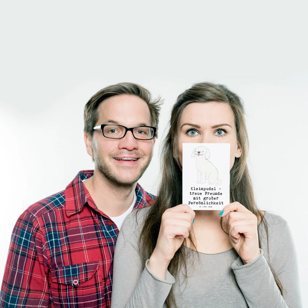 Postkarte Kleinpudel Freunde Ansichtskarten, Karte, Einladungskarten Geburtstag, Geschenkkarte, Einladungskarte, Einladung, Dankeskarte, Einladung Geburtstag, Geburtstagskarte, Postkarte, Ansichtskarte, Grußkarte, Hund, Hunderasse, Rassehund, Hundebesitzer, Geschenk, Tierfreund, Schenken, Welpe
