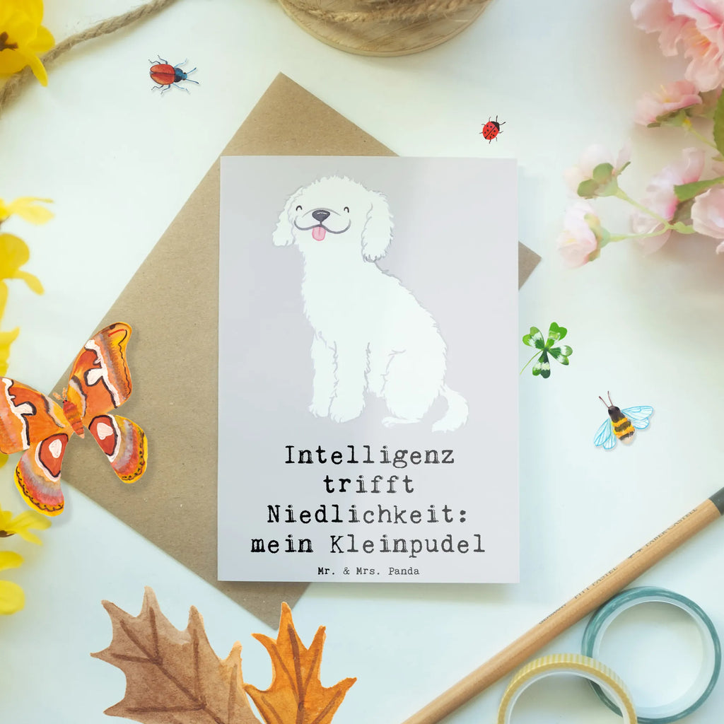 Greetings card Intelligenz trifft Niedlichkeit: mein Kleinpudel Karte, Geburtstagskarte, Hochzeitskarte, Ansichtskarten, Glückwunschkarte, Einladungskarte, Grußkarte, Klappkarte, Hund, Hunderasse, Rassehund, Hundebesitzer, Geschenk, Tierfreund, Schenken, Welpe
