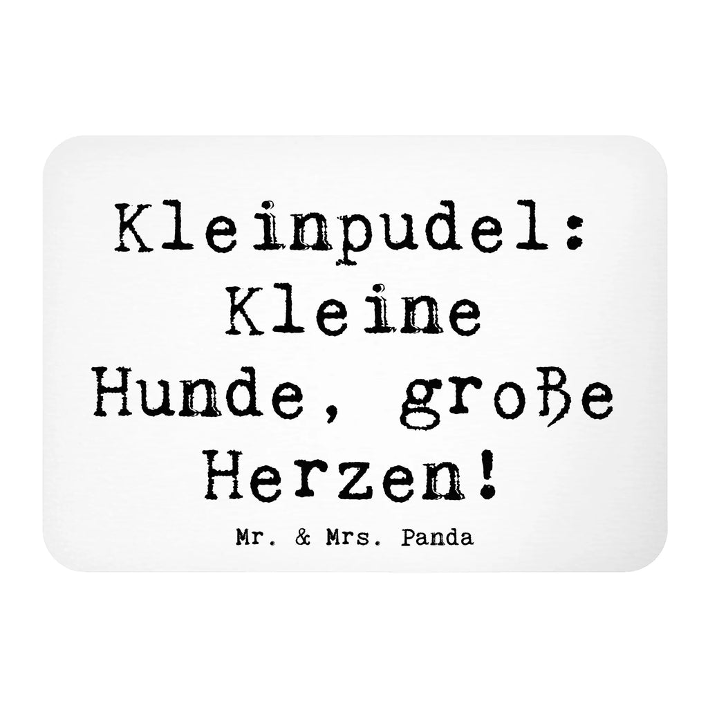 Magnet Spruch Kleinpudel Liebe Kühlschrankmagnet, Whiteboard Magnet, Souvenir Magnet, Dekomagnet, Kühlschrank Dekoration, Notiz Magnet, Pinnwandmagnet, Motivmagnete, Hund, Hunderasse, Rassehund, Hundebesitzer, Geschenk, Tierfreund, Schenken, Welpe