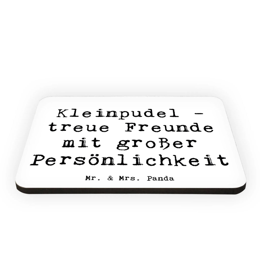 Magnet Spruch Kleinpudel Freunde Motivmagnete, Notiz Magnet, Dekomagnet, Pinnwandmagnet, Whiteboard Magnet, Kühlschrankmagnet, Souvenir Magnet, Kühlschrank Dekoration, Hund, Hunderasse, Rassehund, Hundebesitzer, Geschenk, Tierfreund, Schenken, Welpe