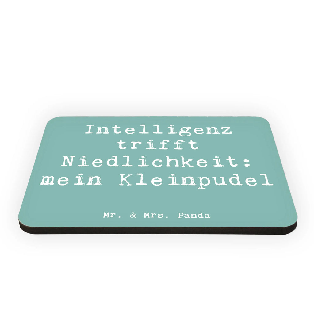 Magnet Spruch Niedlicher Kleinpudel Motivmagnete, Dekomagnet, Kühlschrankmagnet, Whiteboard Magnet, Notiz Magnet, Kühlschrank Dekoration, Souvenir Magnet, Pinnwandmagnet, Hund, Hunderasse, Rassehund, Hundebesitzer, Geschenk, Tierfreund, Schenken, Welpe