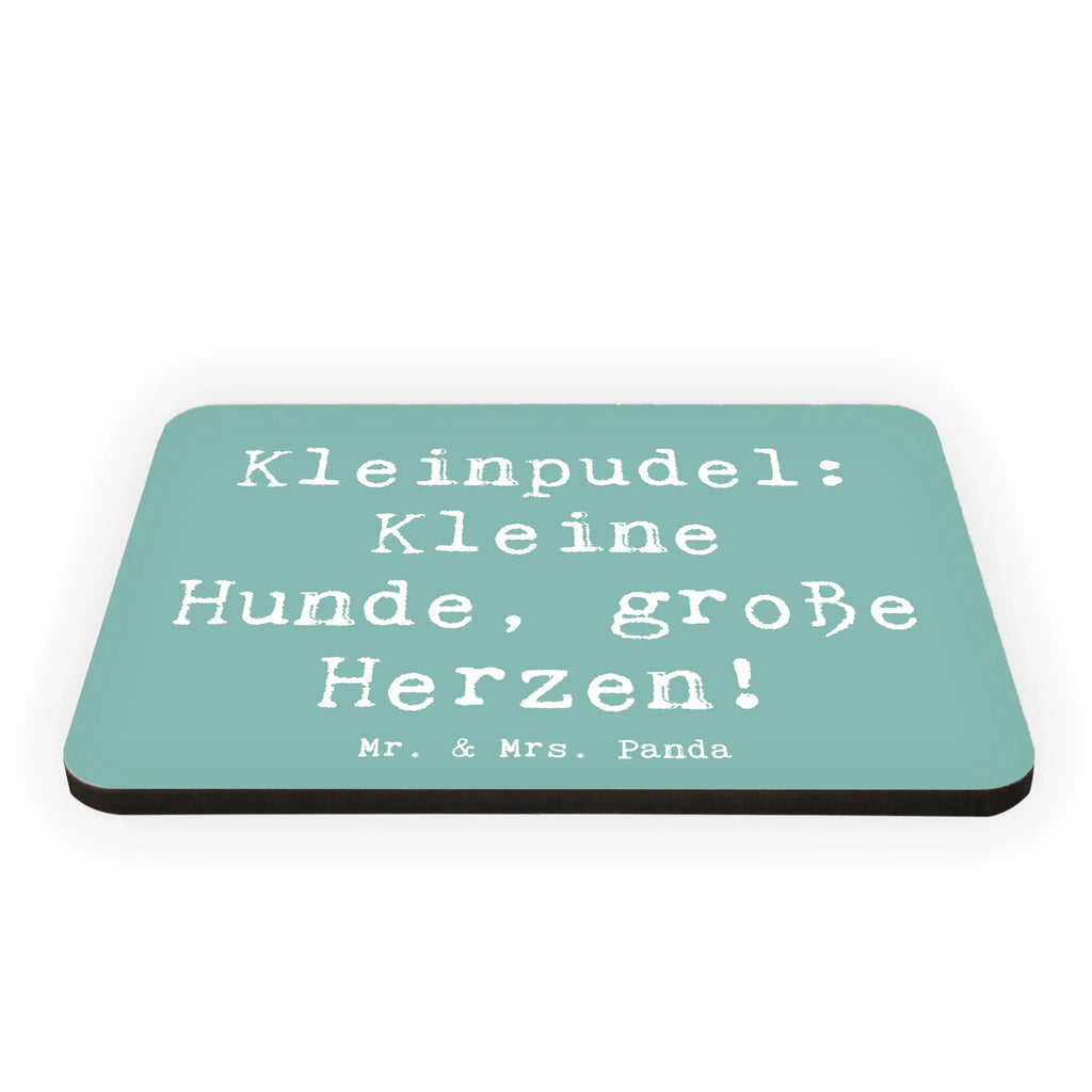 Magnet Spruch Kleinpudel Liebe Kühlschrankmagnet, Whiteboard Magnet, Souvenir Magnet, Dekomagnet, Kühlschrank Dekoration, Notiz Magnet, Pinnwandmagnet, Motivmagnete, Hund, Hunderasse, Rassehund, Hundebesitzer, Geschenk, Tierfreund, Schenken, Welpe