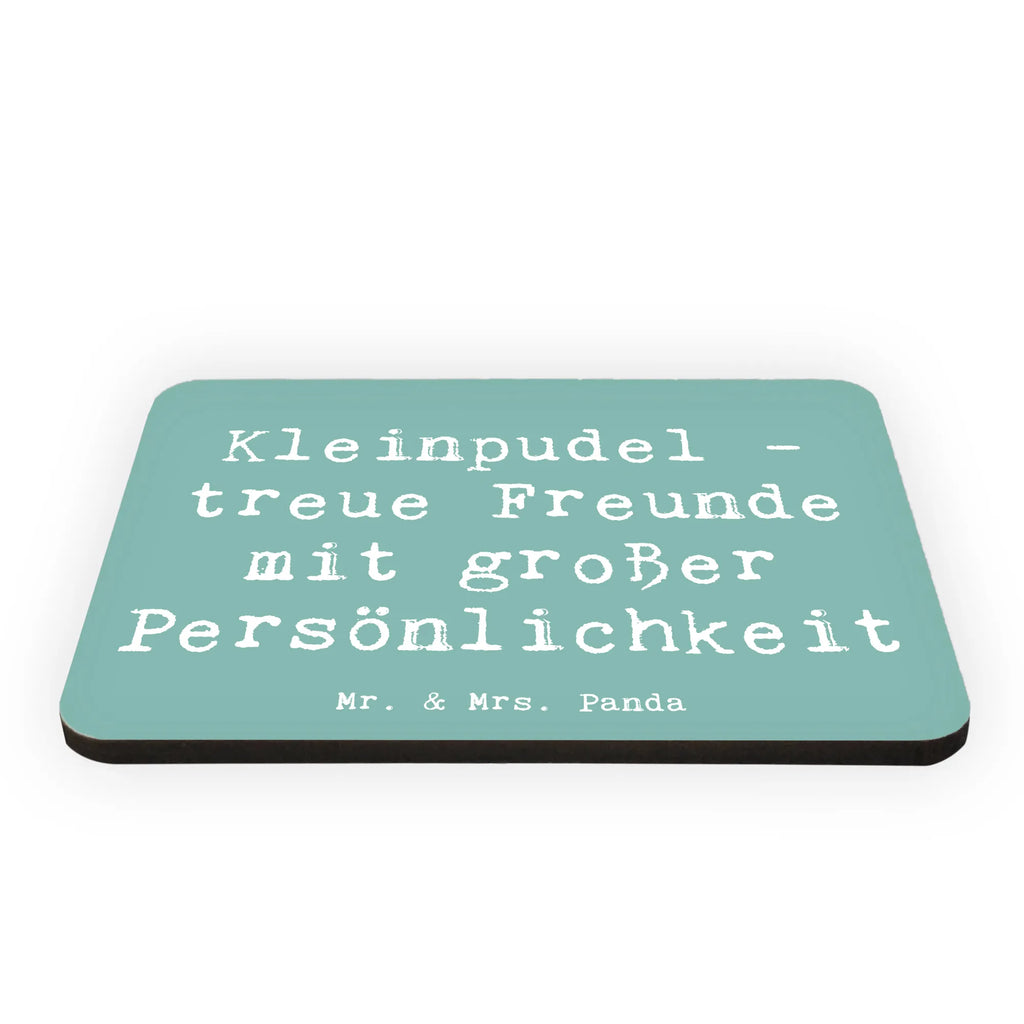 Magnet Spruch Kleinpudel Freunde Motivmagnete, Notiz Magnet, Dekomagnet, Pinnwandmagnet, Whiteboard Magnet, Kühlschrankmagnet, Souvenir Magnet, Kühlschrank Dekoration, Hund, Hunderasse, Rassehund, Hundebesitzer, Geschenk, Tierfreund, Schenken, Welpe