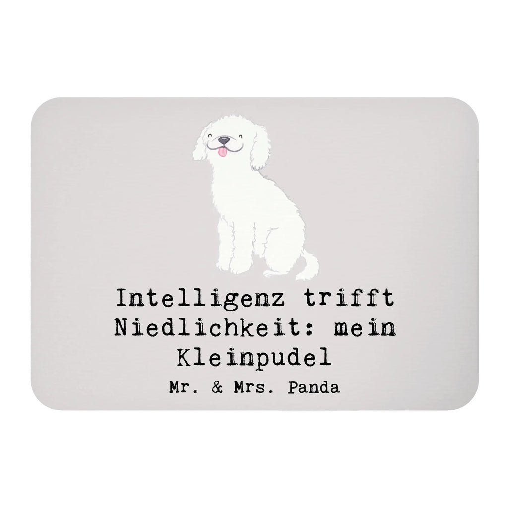 Magnet Niedlicher Kleinpudel Motivmagnete, Whiteboard Magnet, Notiz Magnet, Pinnwandmagnet, Kühlschrank Dekoration, Souvenir Magnet, Kühlschrankmagnet, Dekomagnet, Hund, Hunderasse, Rassehund, Hundebesitzer, Geschenk, Tierfreund, Schenken, Welpe