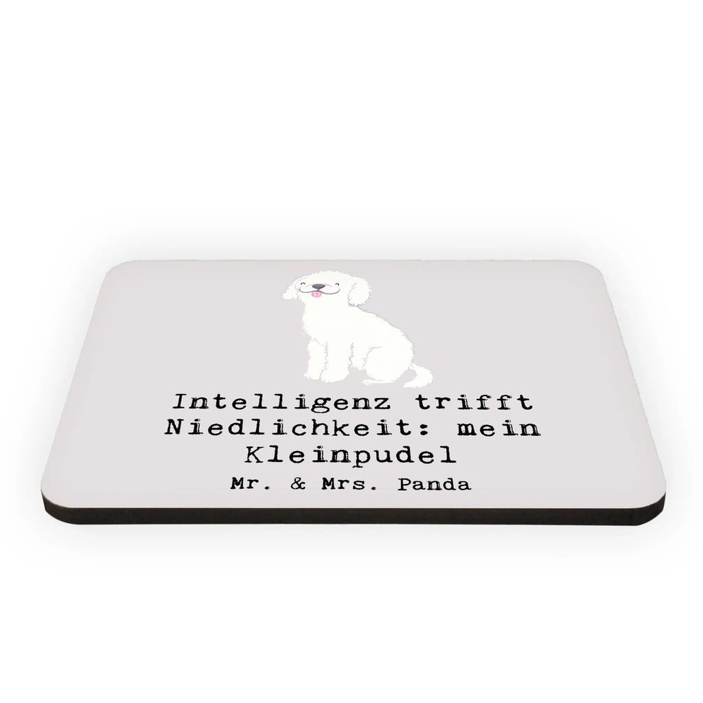 Magnet Niedlicher Kleinpudel Motivmagnete, Whiteboard Magnet, Notiz Magnet, Pinnwandmagnet, Kühlschrank Dekoration, Souvenir Magnet, Kühlschrankmagnet, Dekomagnet, Hund, Hunderasse, Rassehund, Hundebesitzer, Geschenk, Tierfreund, Schenken, Welpe