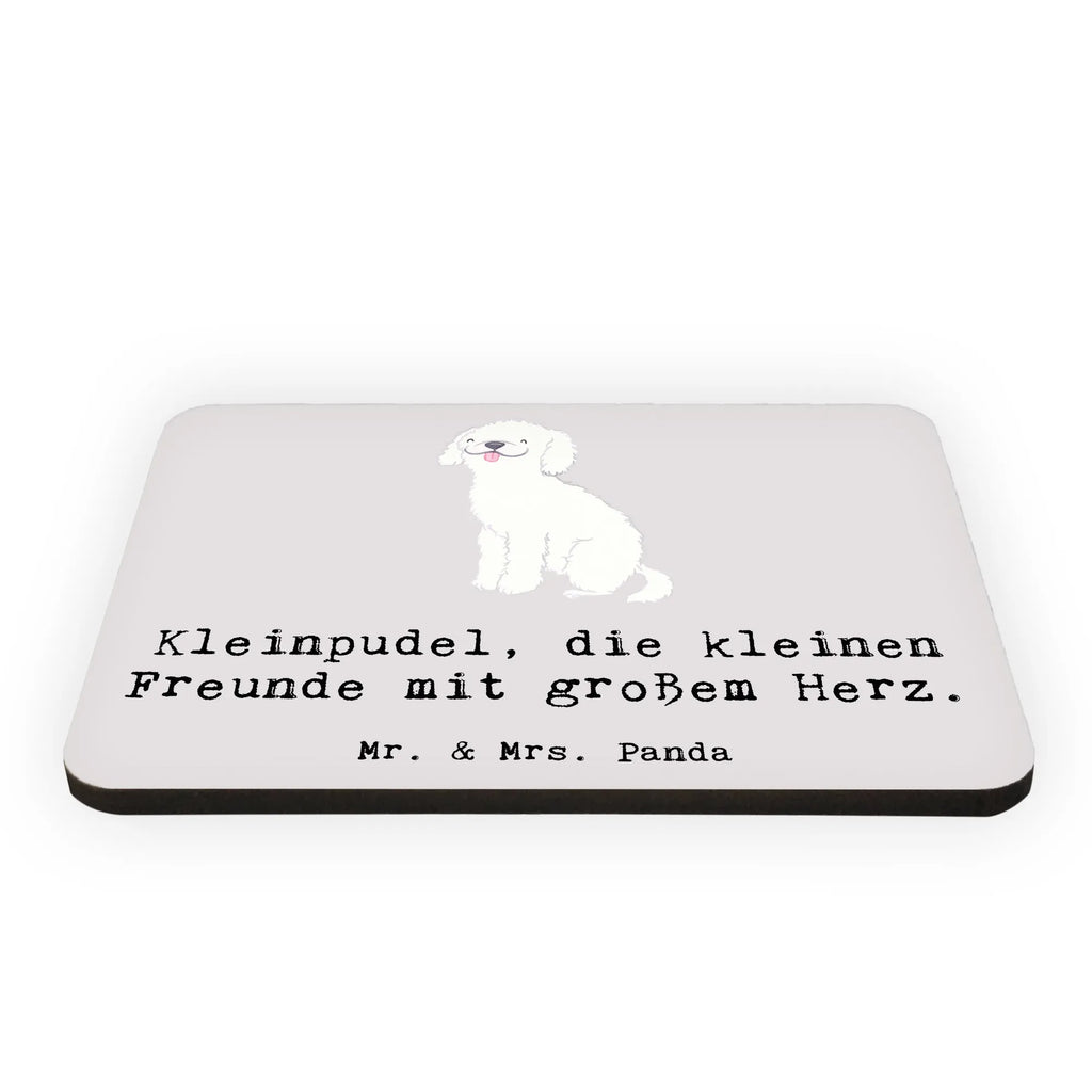 Magnet Kleinpudel Liebe Dekomagnet, Pinnwandmagnet, Notiz Magnet, Motivmagnete, Whiteboard Magnet, Kühlschrank Dekoration, Souvenir Magnet, Kühlschrankmagnet, Hund, Hunderasse, Rassehund, Hundebesitzer, Geschenk, Tierfreund, Schenken, Welpe