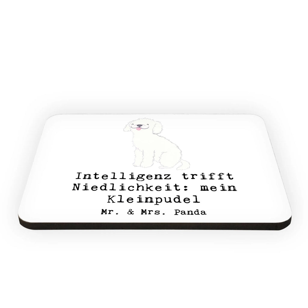 Magnet Niedlicher Kleinpudel Motivmagnete, Whiteboard Magnet, Notiz Magnet, Pinnwandmagnet, Kühlschrank Dekoration, Souvenir Magnet, Kühlschrankmagnet, Dekomagnet, Hund, Hunderasse, Rassehund, Hundebesitzer, Geschenk, Tierfreund, Schenken, Welpe