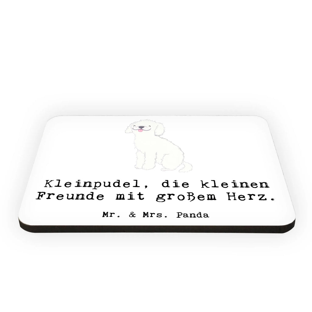 Magnet Kleinpudel Liebe Dekomagnet, Pinnwandmagnet, Notiz Magnet, Motivmagnete, Whiteboard Magnet, Kühlschrank Dekoration, Souvenir Magnet, Kühlschrankmagnet, Hund, Hunderasse, Rassehund, Hundebesitzer, Geschenk, Tierfreund, Schenken, Welpe